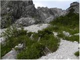 Planina Polog - Rdeči rob